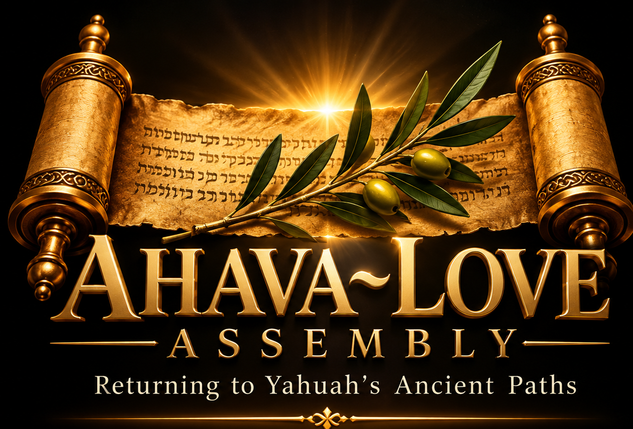 Ahava~Love Assembly